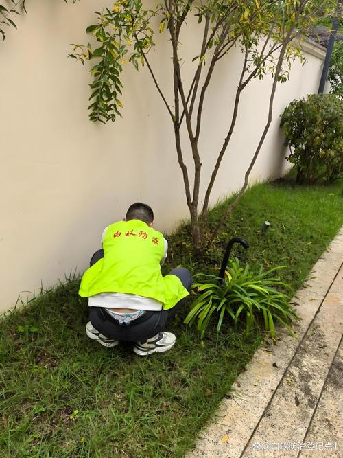 上虞白蚁防治中心