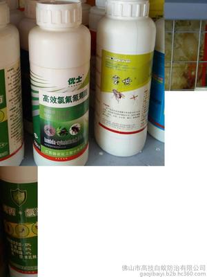 小塘白蚁防治除四害各类昆虫灭杀图片_高清图_细节图