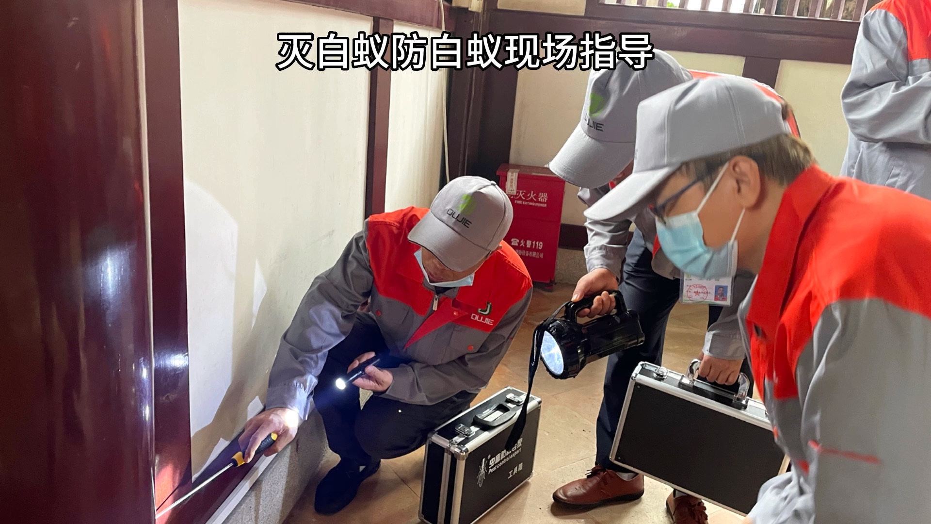 古建筑白蚁防治现场的匠心传承——学员邀请专家精准指导消杀施工
