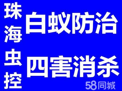 守护家园的“绿色防线” 解读珠海虫控服务的务实之选——以白蚁防治为例谈“无效退款”承诺背后的专业力量